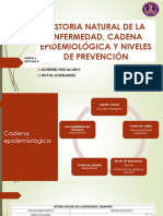 Historia Natural de La Enfermedad