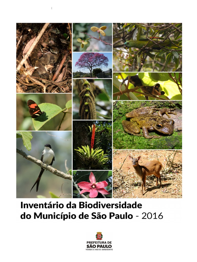 Delicioso Pudim de Vinho: Receita Fácil e Rápida, image size:768x1024