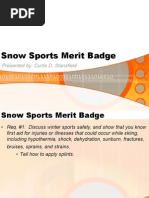 Snow Sports Merit Badge