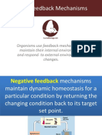 2.C.1 Feedback Mechanisms