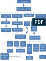 Patofisiologi Hifema PDF