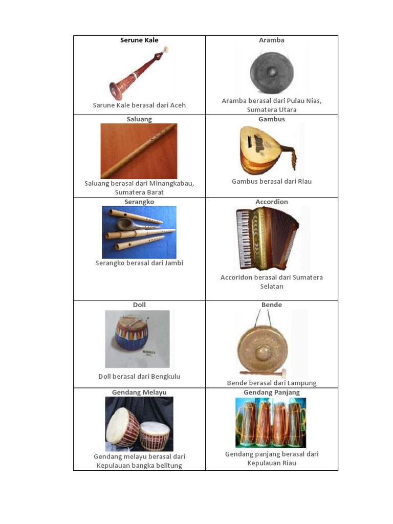  Jenis  Jenis  Alat Musik  Tradisional