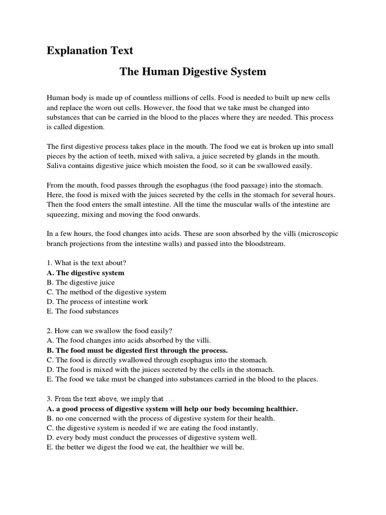 Explanation Text | Human Digestive System | Paper