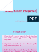 Fungsi dan Kelainan Sistem Integumen