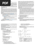 Funcionamiento de Un Ecosistema Taller