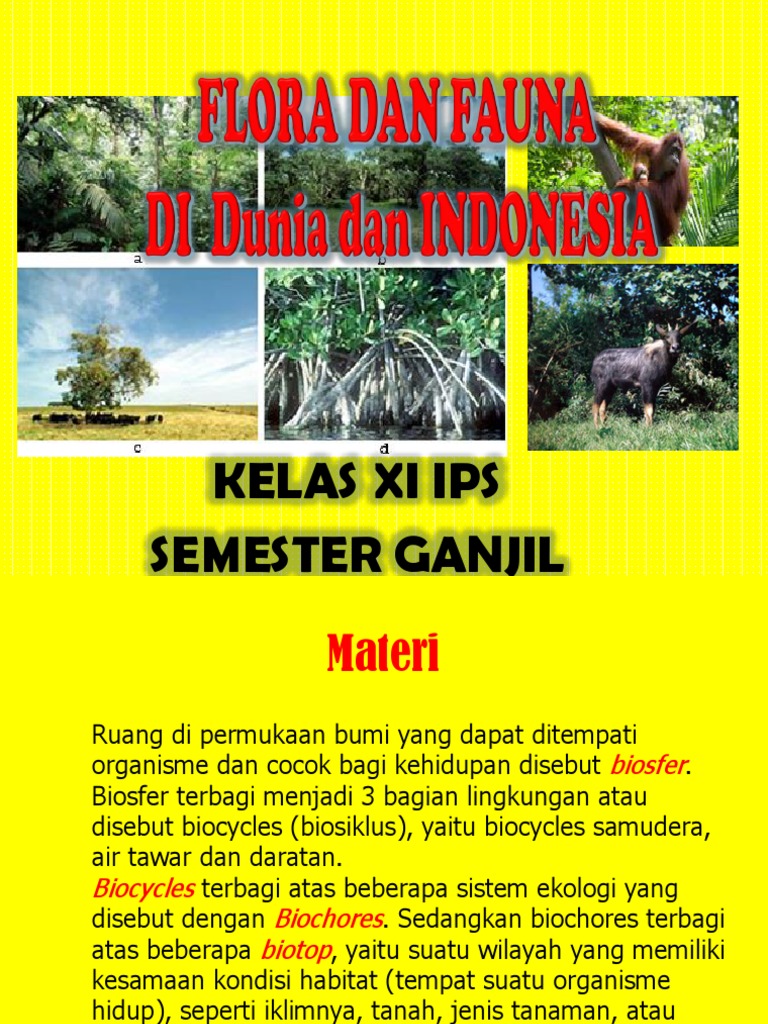 Download 400 Gambar Flora Dan Fauna Timor Leste Paling Bagus Gratis