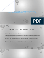 block 2 - digestion system  u  