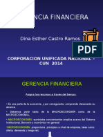 Gerencia Financiera Dina Castro