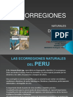 Ecorregiones naturales del Perú