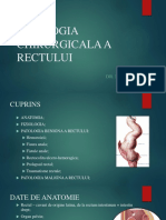 Rectum