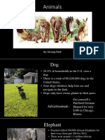 Randy Animals Powerpoint