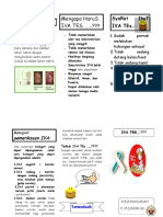 Leaflet Iva Tes PDF
