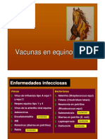 Equinos.pdf