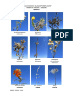 Catalogo Floristico Del Distrito de Chig PDF