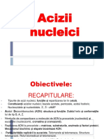 acizii nucleici 