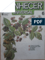 Conhecer Universal 6