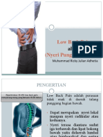 Low Back Pain