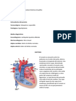 Cardiologia