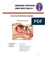 Cesarea Obstetricia