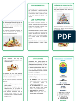 Pirámide de la alimentación: nutrientes esenciales y tipos de alimentos