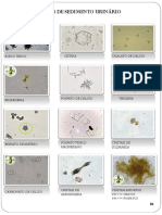 Atlas de Sedimento Urinário PDF
