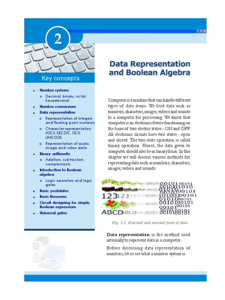 Data Representation in Number Systems | PDF | Numbers | Decimal