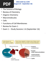 04 Macromolecules-1