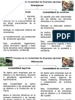 semejanzas y diferencias empresas agricolas y servicios