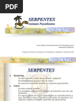 SERPENTES Animais Peçonhentos