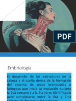anatomia del cuello.pptx