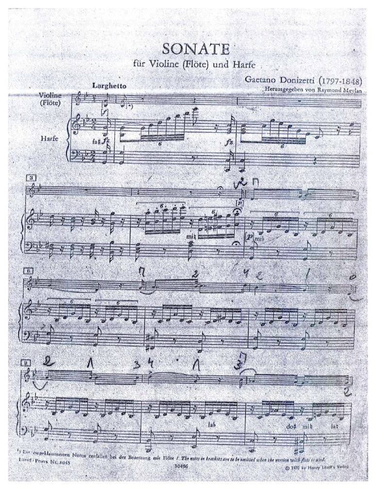 Donizetti Sonata For Violin (Flute) and Harp PDF