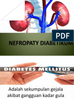 Nefropaty PPT.pptx