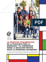 20-principios-fundamentales explicado.pdf