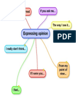 Expressing Opinion PDF