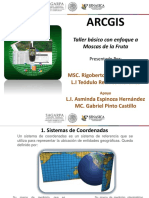 Curso Arcgis - Basico