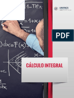 Calculo Integral PDF