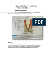 Anatomifisologi Jar - Periodontium - Ginggivalaveolar