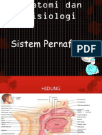 Anfis Sistem Respirasi