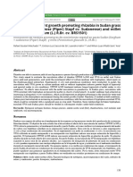 Inoculación de Rizobios Promotores de Crecimiento Vegetal en Pasto Sudán (Sorghum × Sudanense (Piper) Stapf) y Millo (Pennisetum Glaucum (L.) R.BR.)