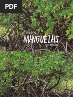 Atlas Dos Manguezais Do Brasil