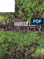 Atlas Dos Manguezais Do Brasil