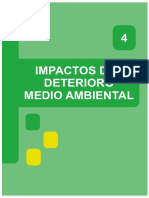 IMPACTOS DEL DETERIORO DEL MEDIO AMBIENTE.pdf