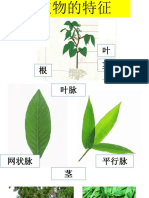 植物如何繁殖