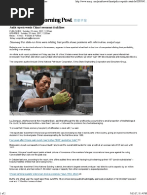 20170625 Audit Report Reveals China’s Economic Fault Lines - Fake Data