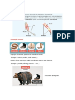 Locomoção Dos Animais Terrstres
