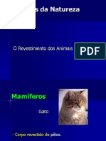 04_revestimento_ani_4.ppt