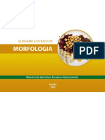 Glossario Ilustrado Morfologia-23