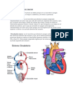 Circulacion Menor y Mayor