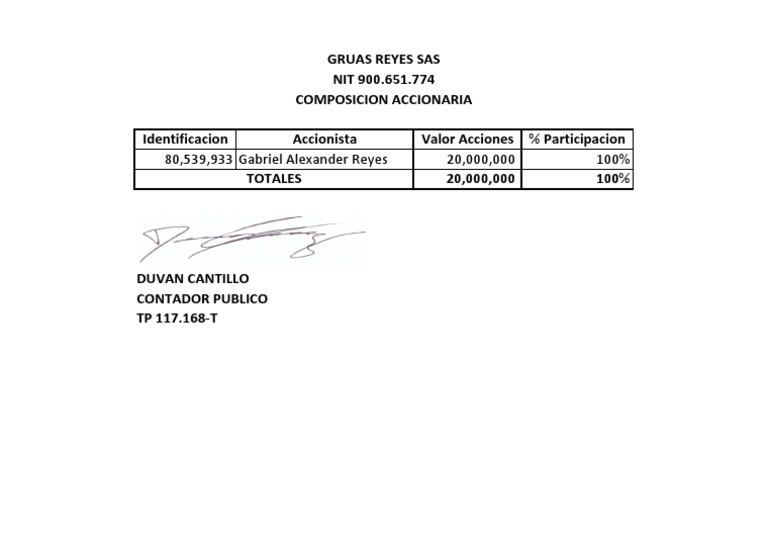 Composicion Accionaria | PDF