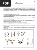  Apostila Botânica para Farmácia PARTE 3 - 2018